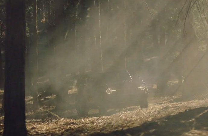 Bronco in the forest