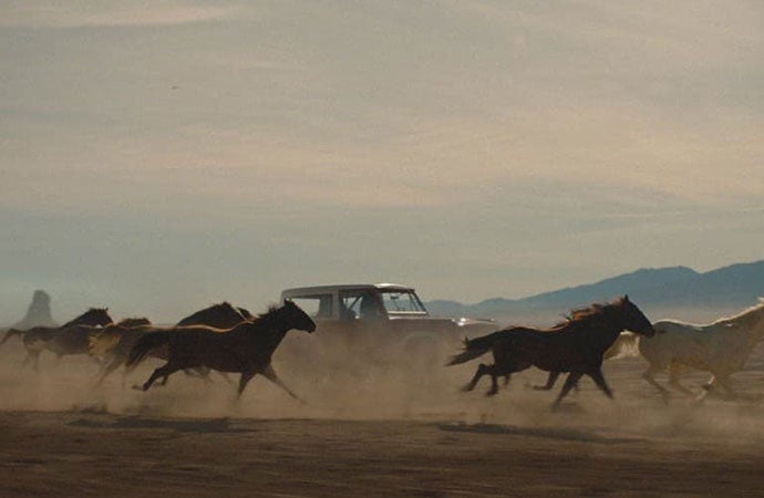 Horses running alongside Bronco